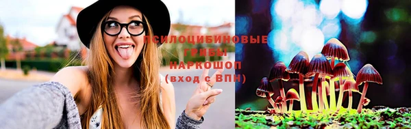 mix Аркадак