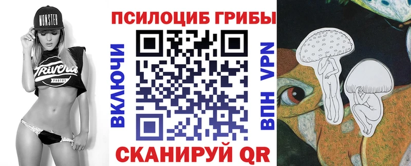 кракен как войти  Ростов  Галлюциногенные грибы Psilocybe  продажа наркотиков 
